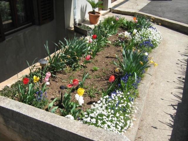 Apartments Zlatiborski Gajevi Dış mekan fotoğraf
