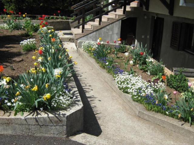 Apartments Zlatiborski Gajevi Dış mekan fotoğraf